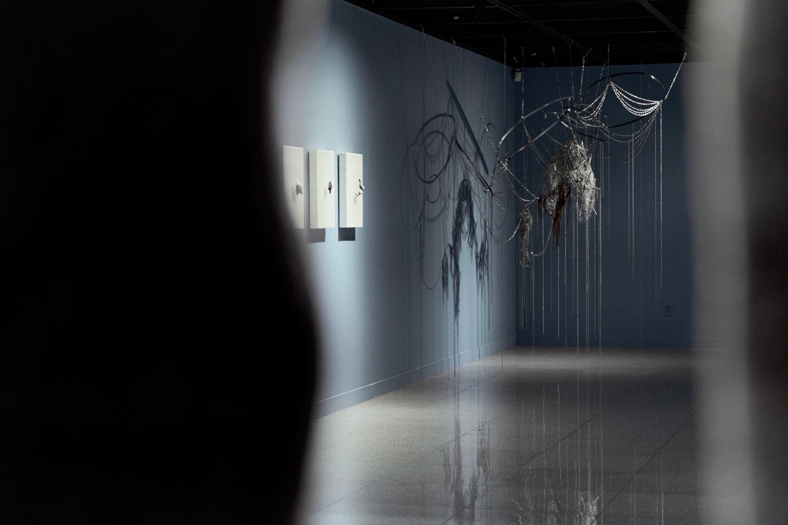 [exhibition video] arachne eye